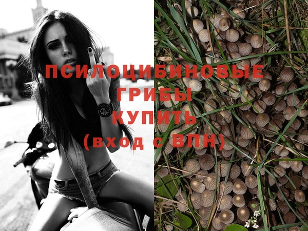 дживик Армянск