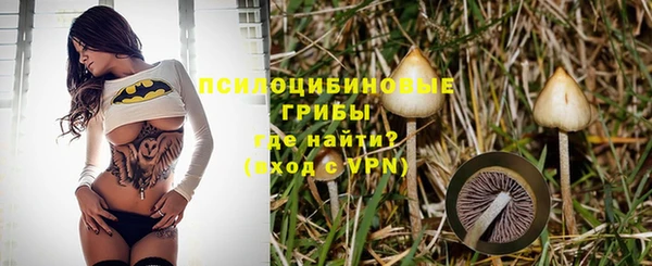 мет Аркадак